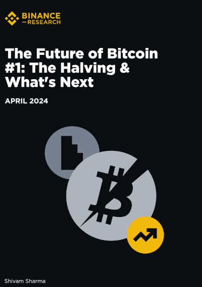 Halving Has Here To Stay. What Future For Bitcoin?